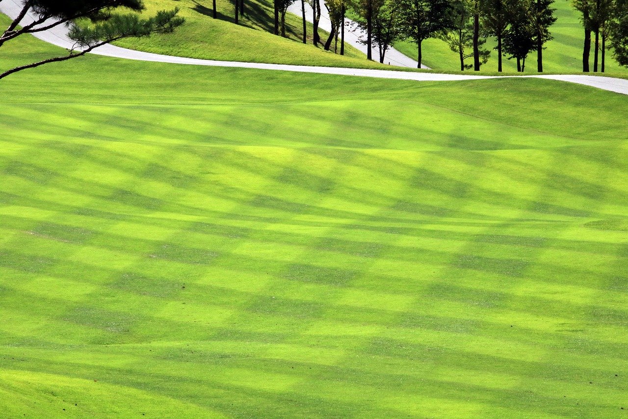 Golf-Fairway